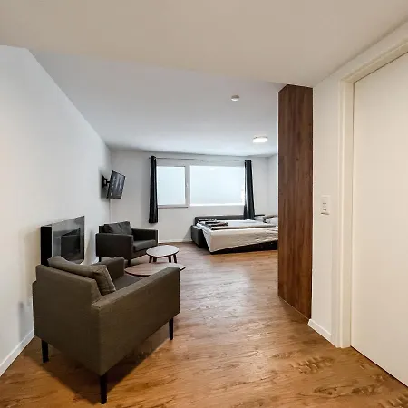 Classy Studio In Alps Switzerland Apartment